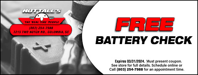 Free Battery Check Special